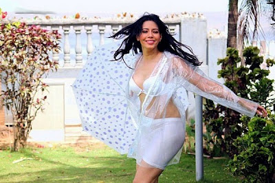 Rozlyn Khan Hot Spicy Bikini Photos