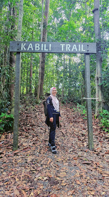 Hiking Sepilok Laut Sandakan 5.0