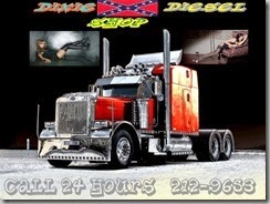 DDS1