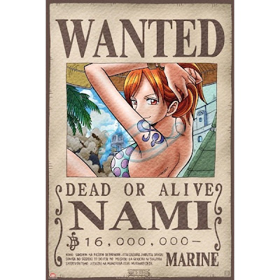 Profil Dan Kekuatan Nami - Bajak Laut One Piece