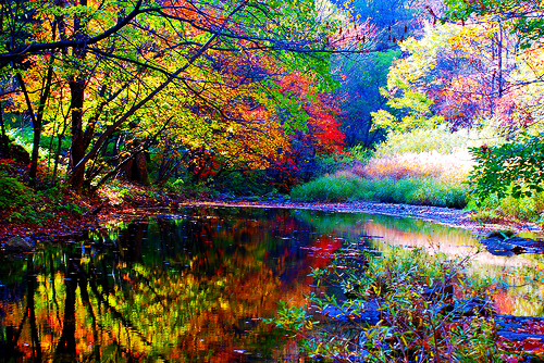 Autumn Lake, Hunan, China