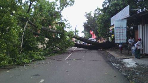 Koramil 02/Sukmajaya Bantu Evakuasi Pohon Tumbang