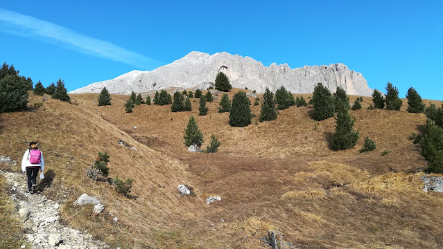 da rifugio Micheluzzi a rifugio Sasso Piatto