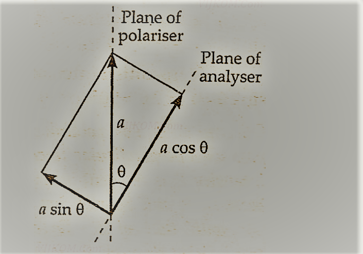 physics class 12 in hindi PDF