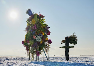 Frozen Flowers Azuma Makoto's Artistic Response to Climate Change on the Notsuke Peninsula
