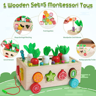 5 in 1 Wooden Montessori Toys