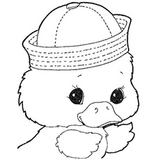 Adorable Baby Duck Coloring Pages Animals