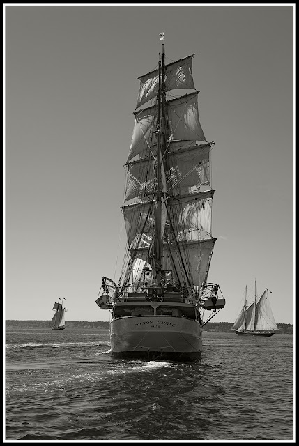 Tall Ships; Lunenburg; Nova Scotia; Sailing; Pride of Baltimore II; Bluenose II; Picton Castle