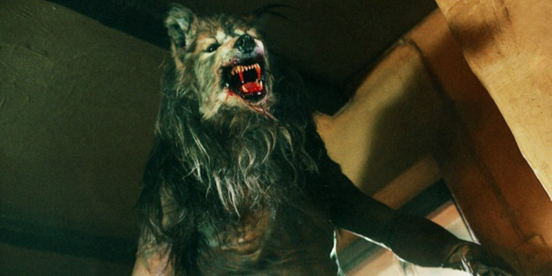 Dog Soldiers