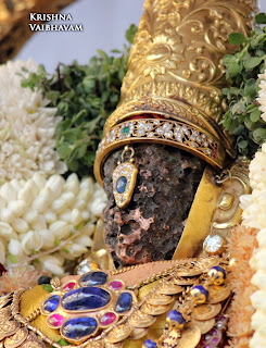 Sri Parthasarathy Swamy, Ekadasi, Ekadesi Purappadu, Triplicane,  Panguni,Purappadu, Thiruvallikeni, Utsavam