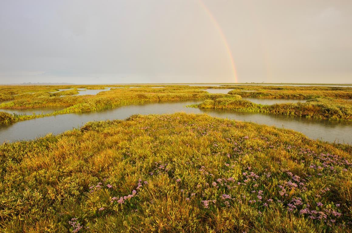 Peatland is a carbon store