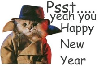 caty wishing happy new year