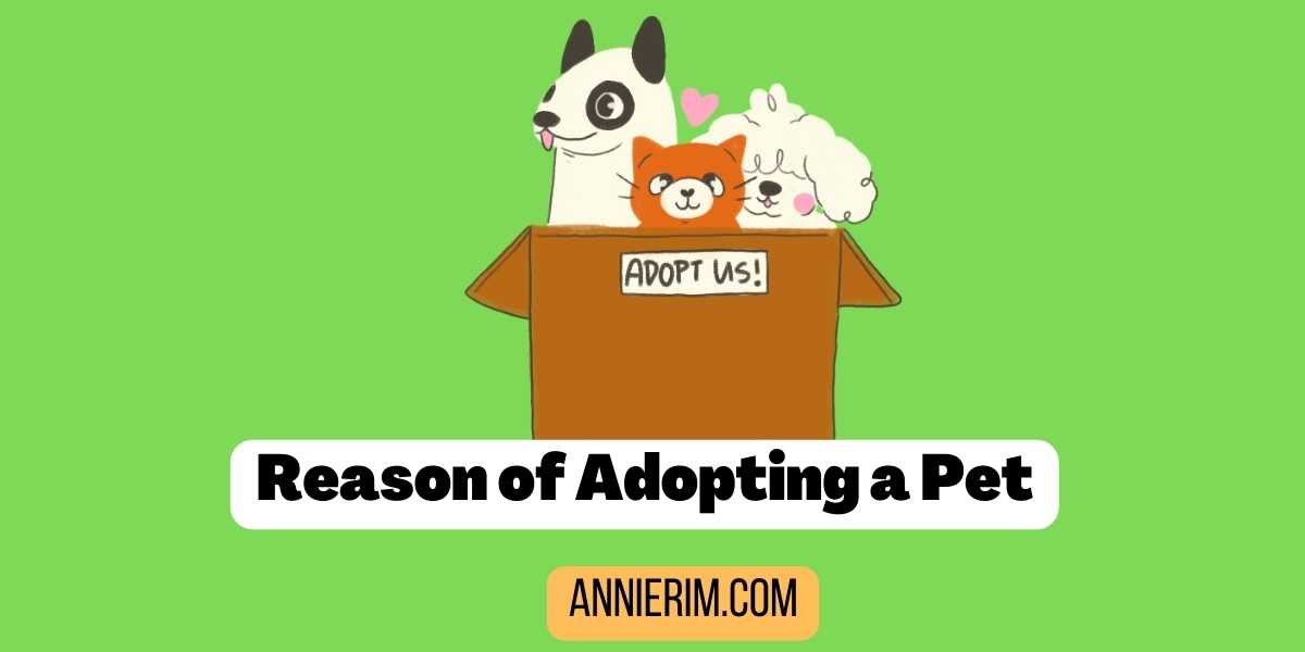 Reason of Adopting a Pet