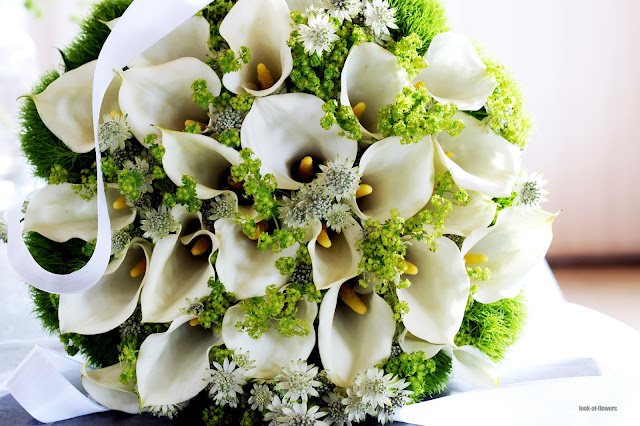 white flowers callas bouquet