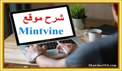 شرح موقع Mintvine