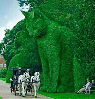 Sculptures of cat and other Animals in beautiful amazing Garden