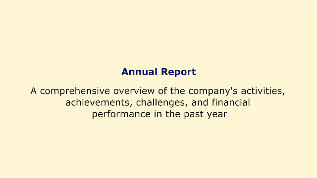 A comprehensive overview of the company's activities, achievements, challenges, and financial performance in the past year