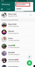 Cara Menyembunyikan STATUS WA Kita Dari Orang Lain