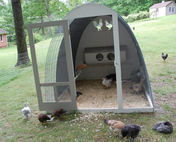  CLUCK: Innovative Coop Design Could Change Local Chicken Tractors