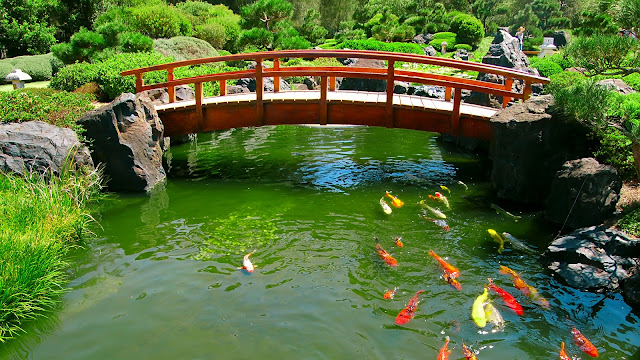 Japanese Beautiful Garden