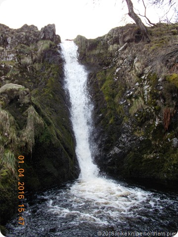 ingram valley 013