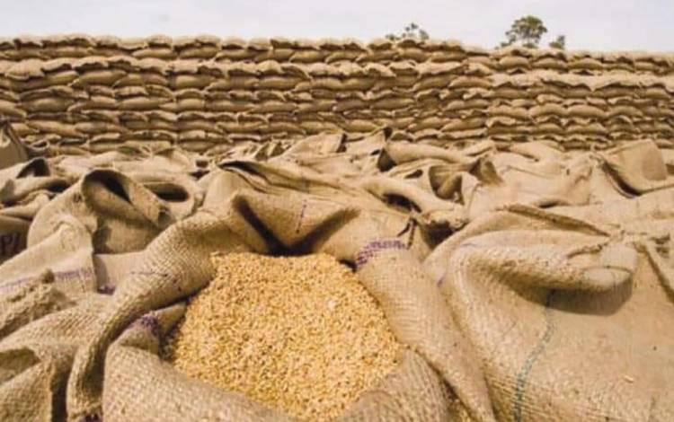 Continual decline in wheat prices, profiteers and hoarders worried about Punjab government's policy