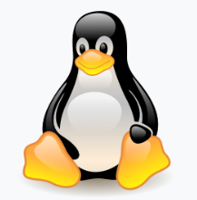 關於Ubuntu 16.04 on VMware 和 VM tools安裝的教學好站分享