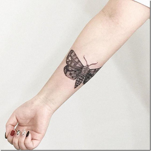 bueno_y_realistica_mariposa_en_tonos_de_gris bueno_y_realistica_mariposa_en_tonos_de_gris
