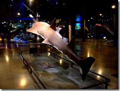 2011.11.14-039 poisson scie