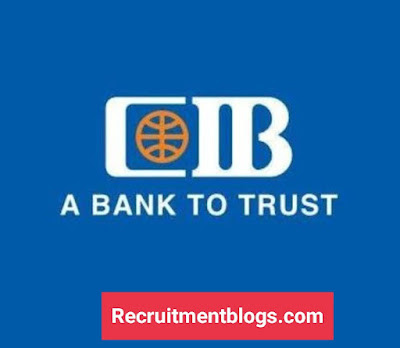 Customer Insights Analyst At CIB Bank