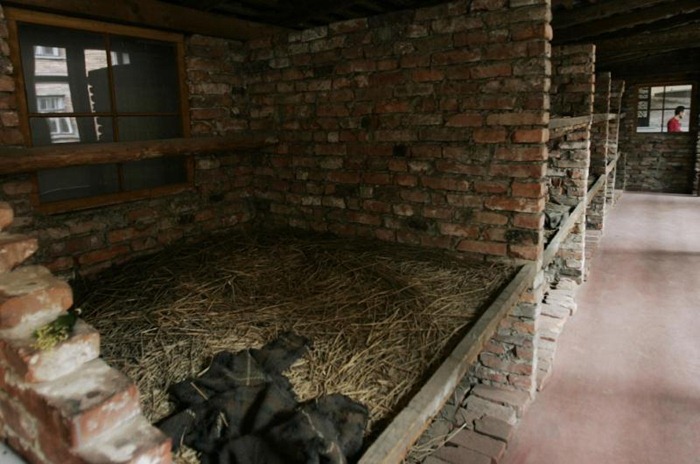 Auschwitz (3)
