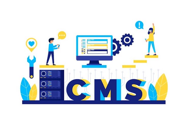 Top CMS Development Company in Future