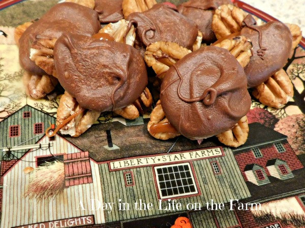 Chocolate Caramel Pecan Turtles