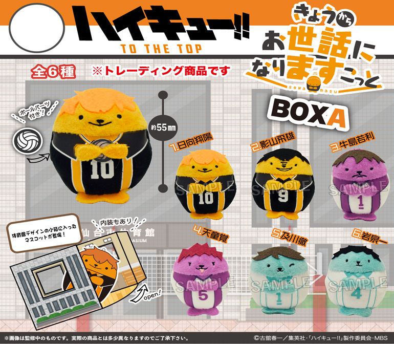 Rev 代購 預購 ハイキュー To The Top きょうからお世話になりますこっと Box A Haikyu To The Top Kyou Kara Osewa Ni Nari Mascot Box A