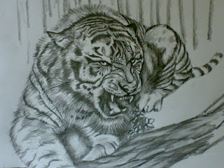 Ferrocious Feline  - Tiger Claw - Lion - Animal Drawing forest jungle mountain pencil sketching moon trees leaves eyes lion cheetah animal jungle llife speed crouching roaring angry look animals