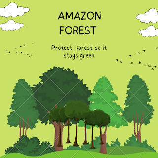 History of amazon forest