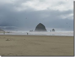 cannon beach 08