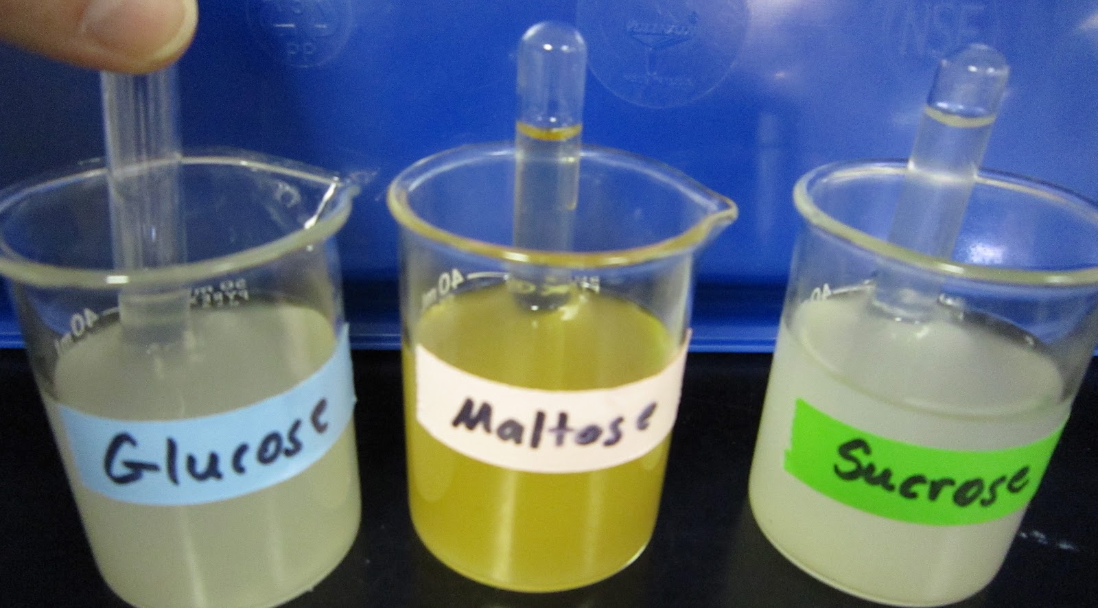 😀 Rate of fermentation of yeast experiment. Chemistry Project on Study ... - Use+of+Glucose+gas+bubbles