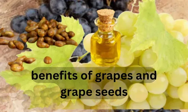 benefits of grapes and grape seeds