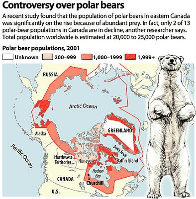 Polar bear numbers 