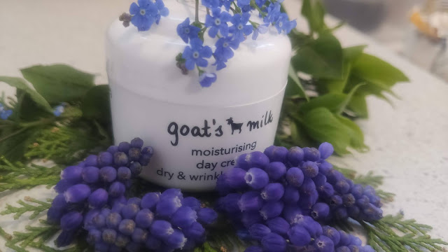 Ziaja Goat's Milk Day Cream