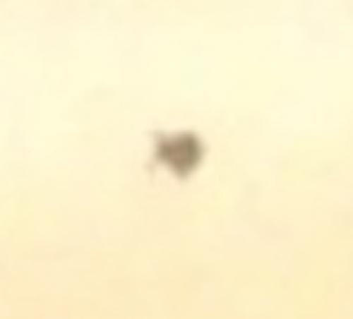 February 2009 Texas Ufo Reports Summary