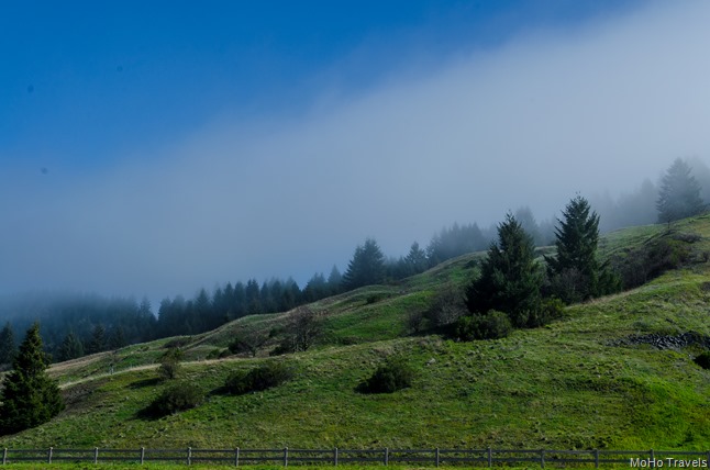 Trinity Scenic Byway (2 of 36)