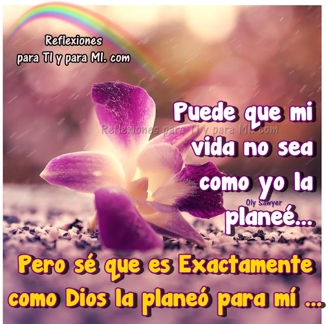 Puede que mi vida no sea como yo la planeé... Pero sé que es Exactamente como Dios la planeó para mí...