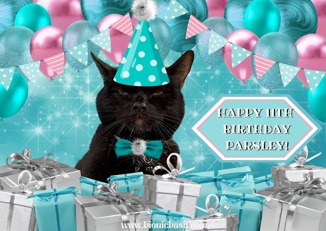 Parsley's 11th Birthday Pawty Official Pawtrait  ©BionicBasil®