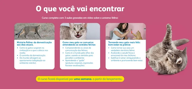 curso gratis sobre gatos com certificado