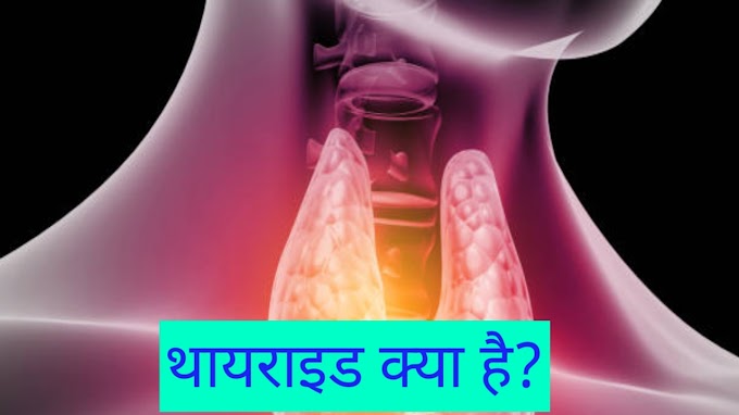 थायराइड क्या है? Thyroids kya hota he // ,, थायराइड की पहचान thyroids ki pahchan //थायराइड का मुख्य कारण thyroids ka mukhya Karan // कमी Kami //क्या खाएं क्या ना खाएंkya khae kya na khae