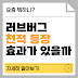 러브버그 천적 등장! 참새, 거미, 까마귀 효과 있을까?