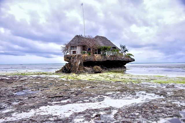A Zanzibar Low Tide Moment