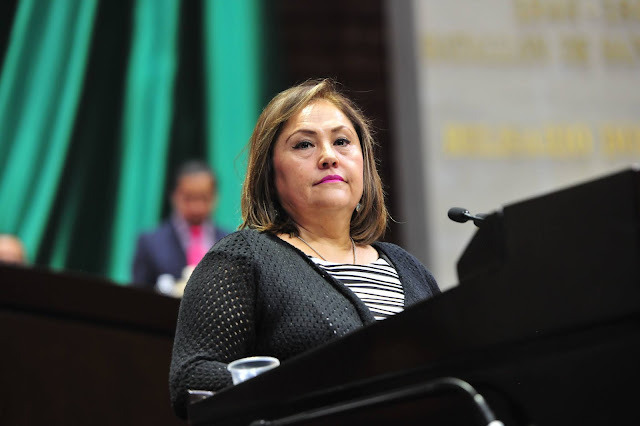 diputada Silvia Garza Galván (PAN) 